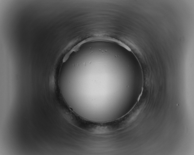 X0000099940256200805301223