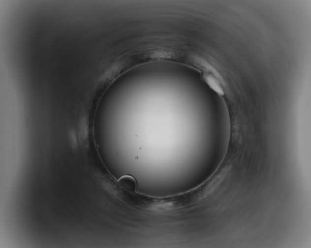 X0000099940257200805301223