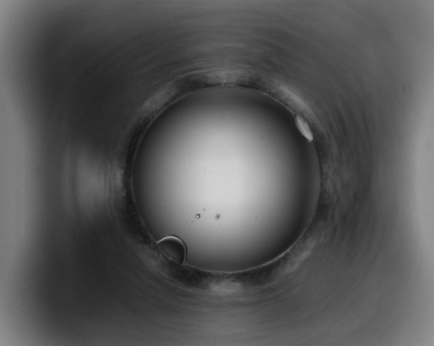 X0000099940258200805301223
