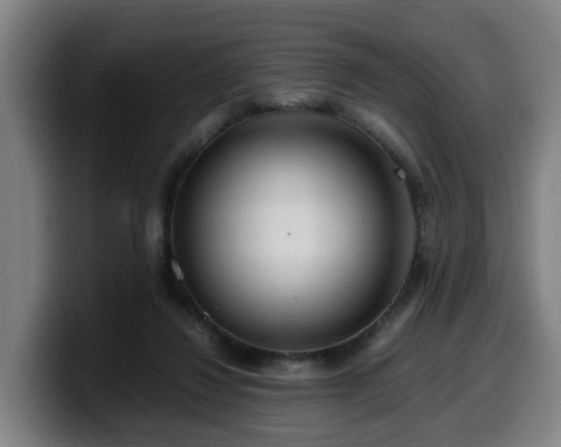 X0000099940260200805301223