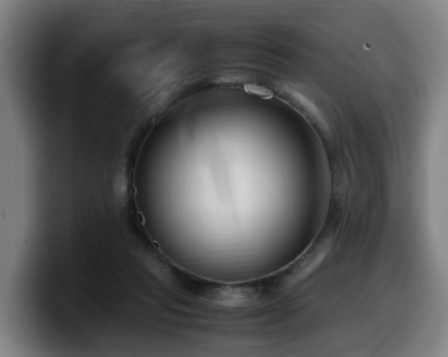 X0000099940261200805301223