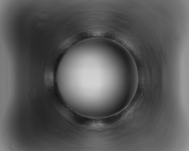 X0000099940262200805301223