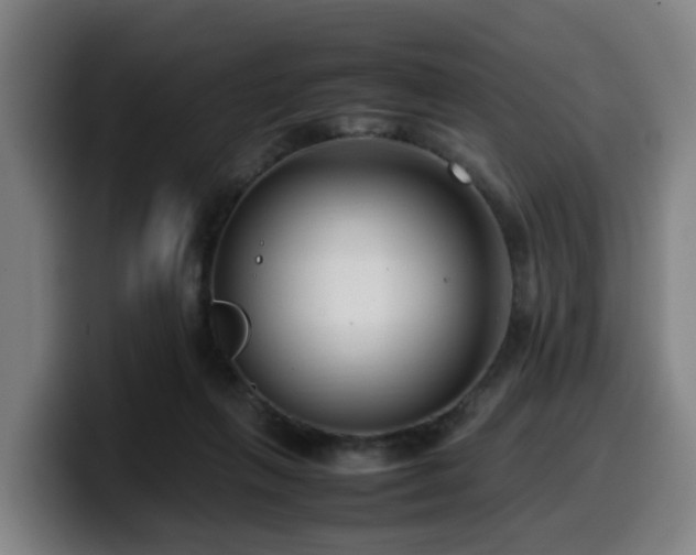 X0000099940263200805301223