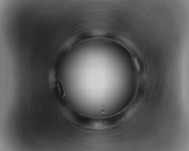 X0000099940264200805301223