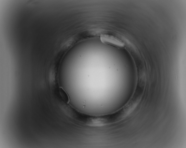 X0000099940268200805301223