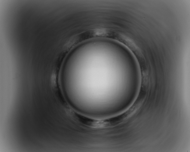 X0000099940269200805301223