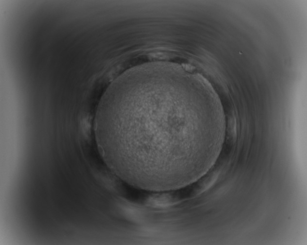 X0000099940271200805301223