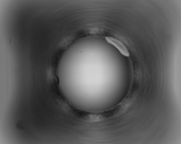 X0000099940272200805301223