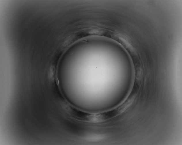 X0000099940273200805301223
