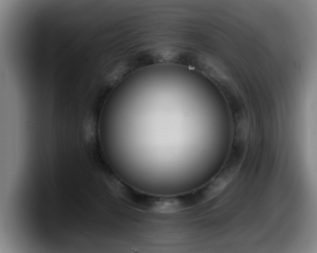 X0000099940274200805301223