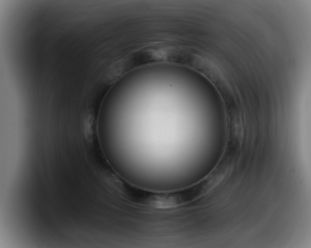 X0000099940275200805301223