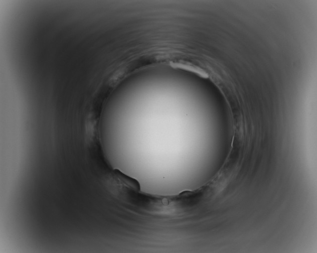 X0000099940276200805301223