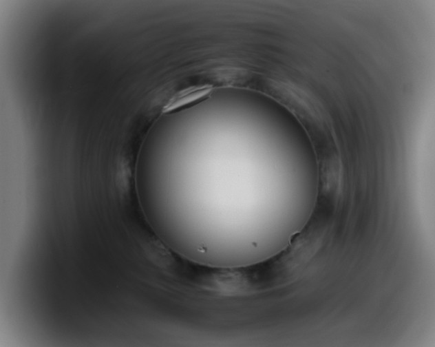 X0000099940279200805301223