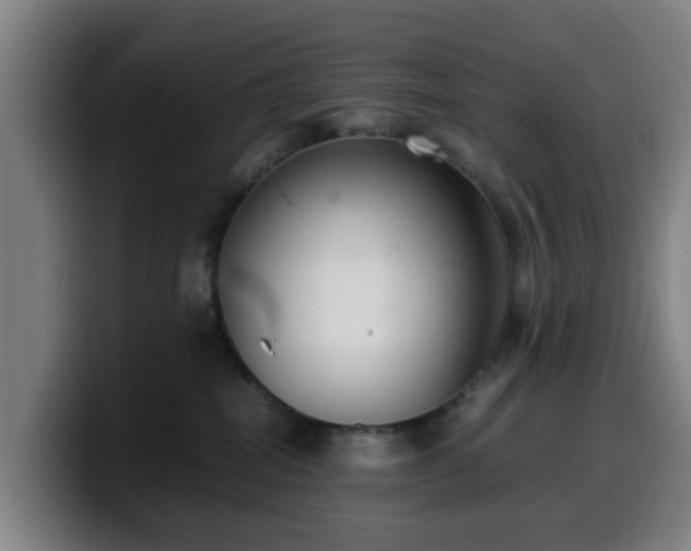 X0000099940282200805301223