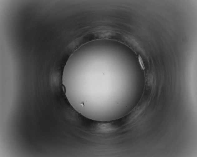 X0000099940283200805301223