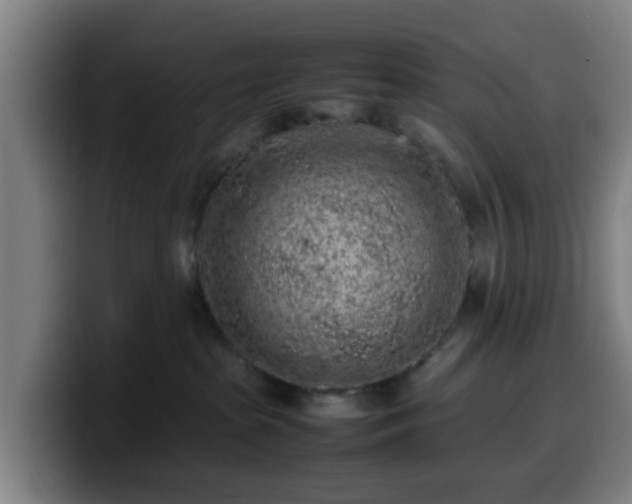 X0000099940285200805301223