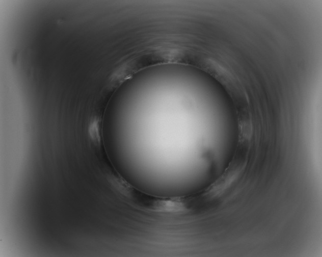 X0000099940286200805301223