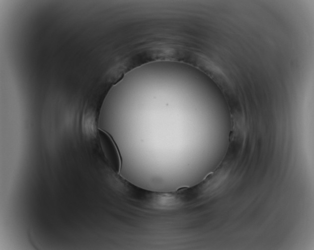 X0000099940287200805301223