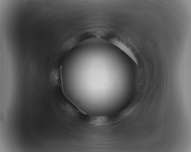 X0000099940288200805301223