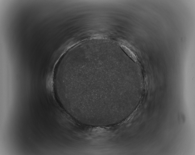 X0000099940290200805301222