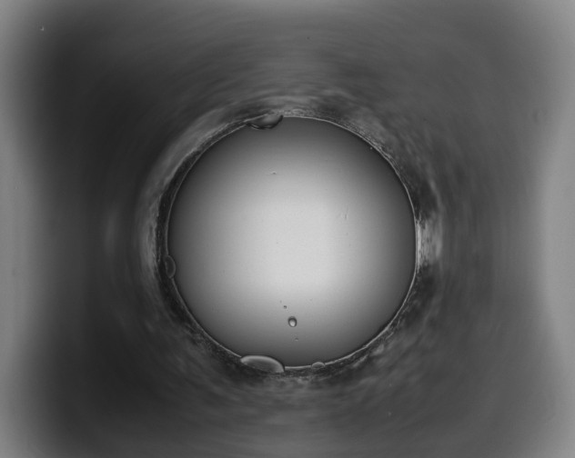 X0000099940291200805301222