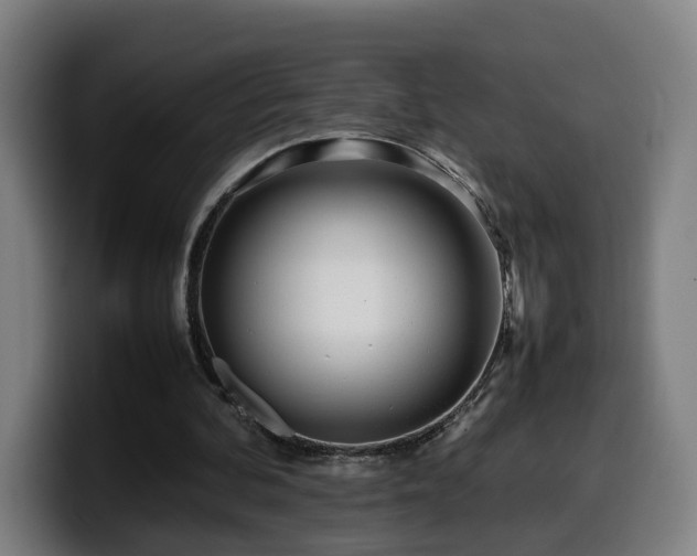 X0000099940292200805301222