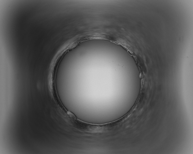 X0000099940293200805301222