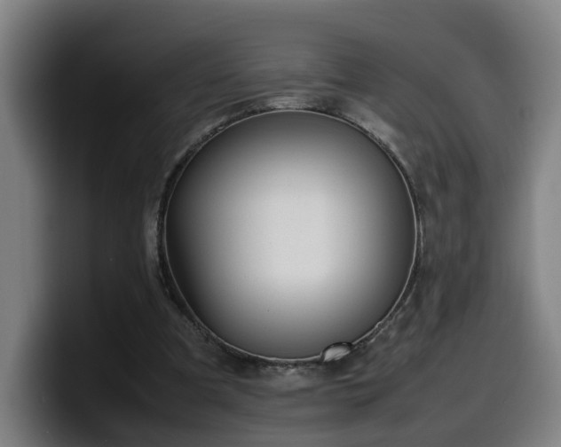 X0000099940297200805301222