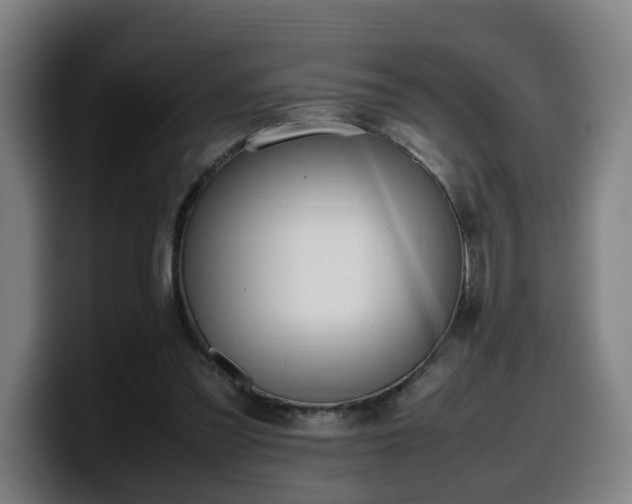 X0000099940301200805301222