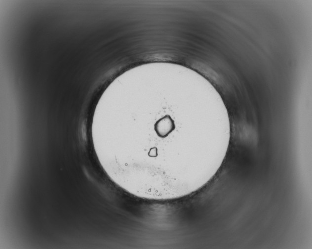 X0000099940302200805301222