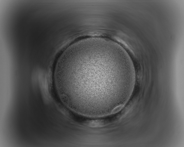 X0000099940303200805301222