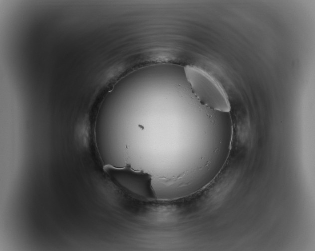 X0000099940304200805301222