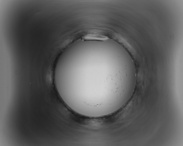 X0000099940305200805301222