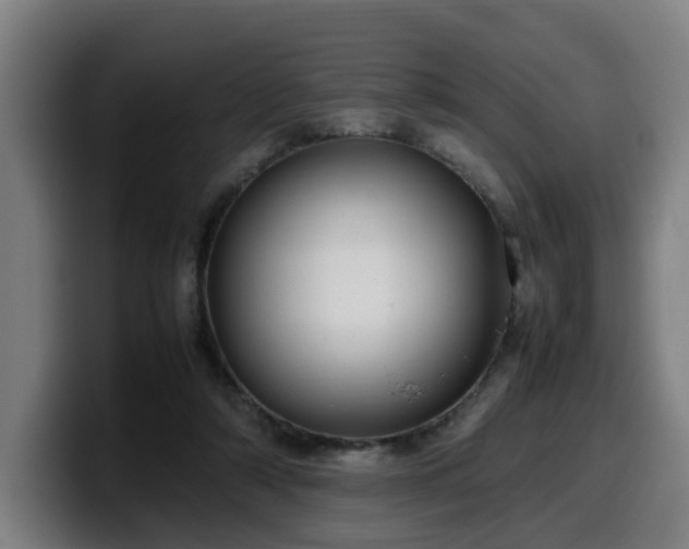 X0000099940306200805301222