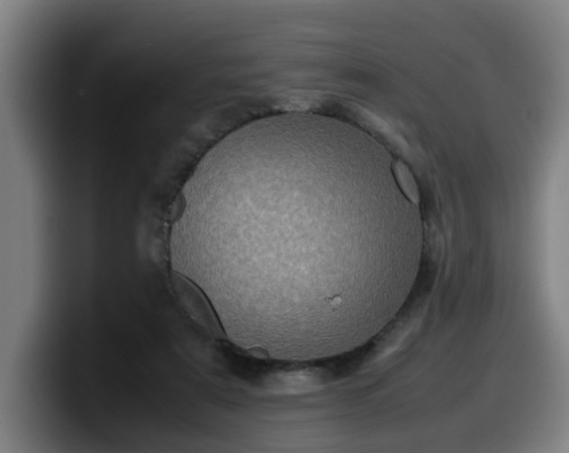 X0000099940307200805301222