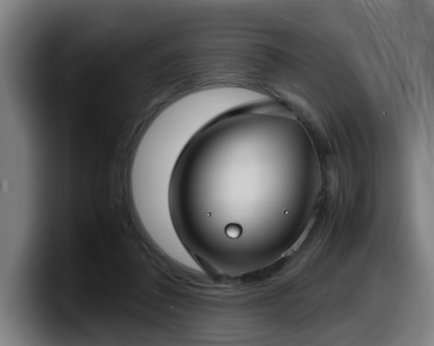 X0000099940308200805301222