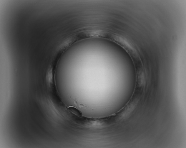 X0000099940310200805301222