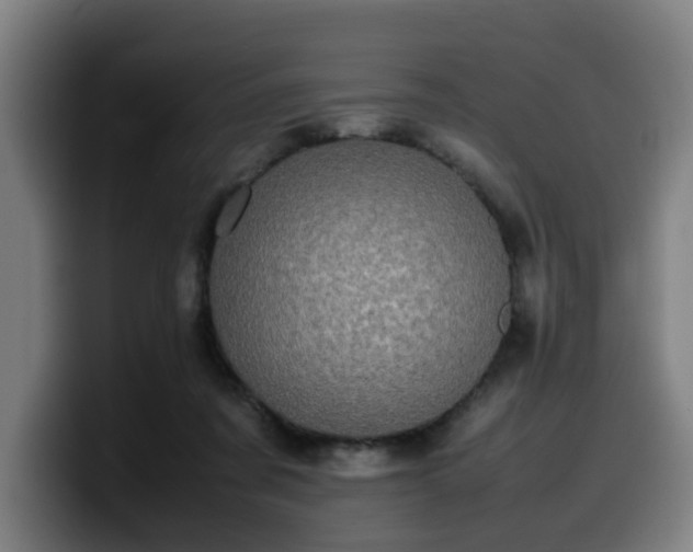 X0000099940311200805301222