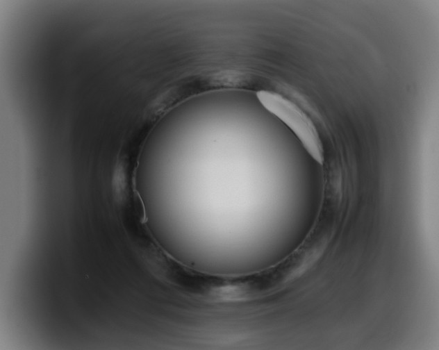 X0000099940312200805301222