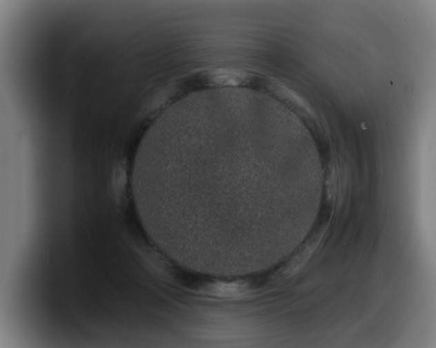 X0000099940314200805301222