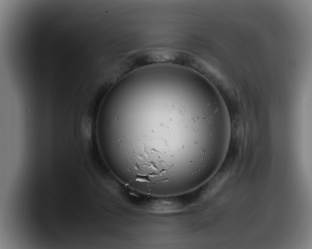 X0000099940315200805301222