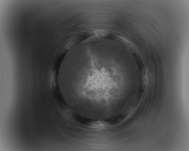 X0000099940316200805301222