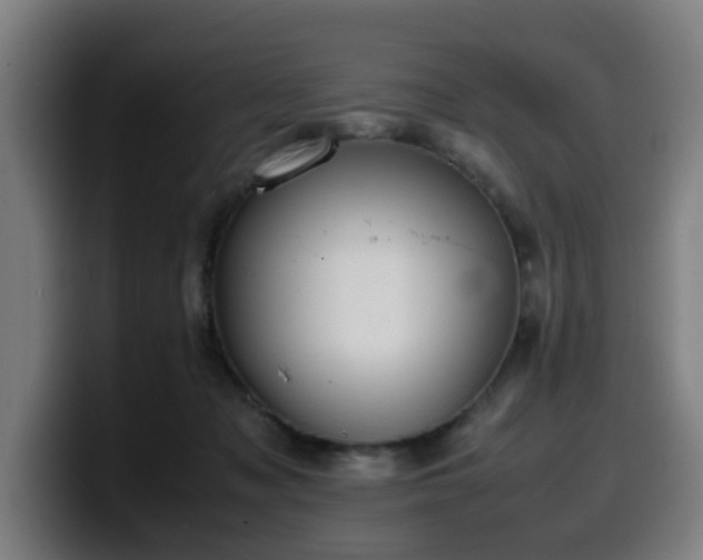 X0000099940317200805301222