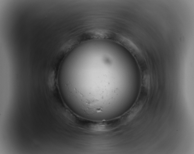 X0000099940318200805301222