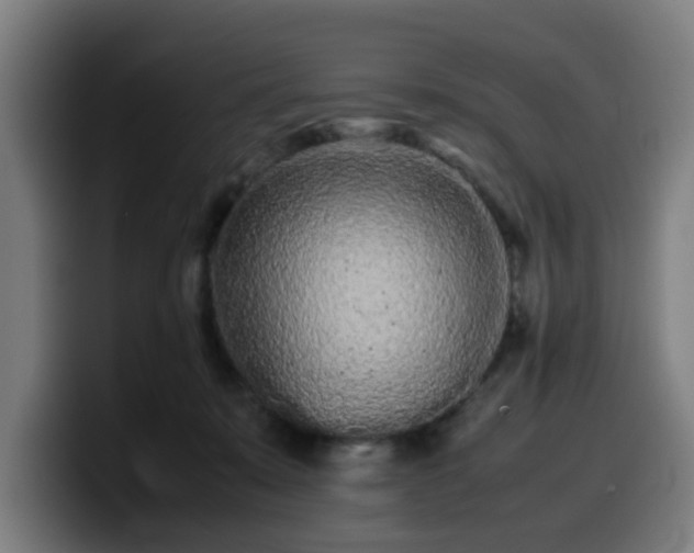 X0000099940319200805301222
