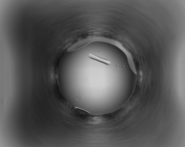 X0000099940324200805301222