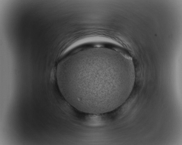 X0000099940325200805301222
