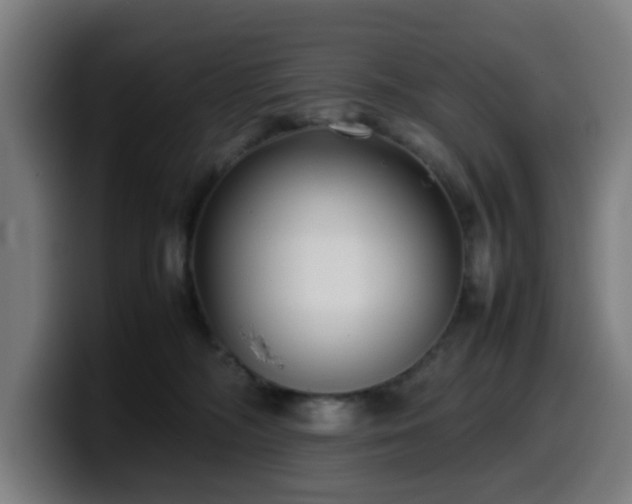 X0000099940326200805301222