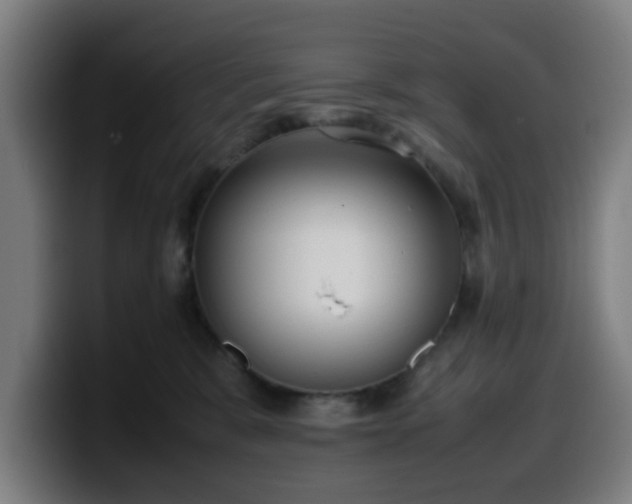 X0000099940327200805301222