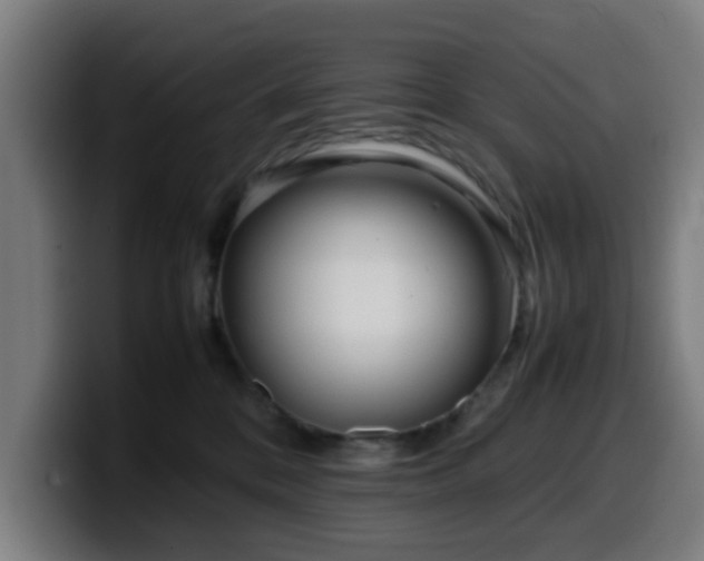 X0000099940328200805301222